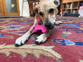 Load image into Gallery viewer, Bone eChew Ultra Durable Nylon Dog Chew Toy for Aggressive Chewers | USA Made
