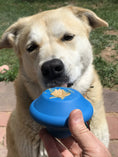 Load image into Gallery viewer, Flying Saucer Dog Toy - Durable UFO Chew Toy & Treat Dispenser | USA Made
