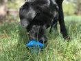 Load image into Gallery viewer, Flying Saucer Dog Toy - Durable UFO Chew Toy & Treat Dispenser | USA Made
