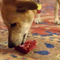 Load image into Gallery viewer, Cherry Pie Nylon Dog Chew Toy for Aggressive Chewers | USA Made | SodaPup
