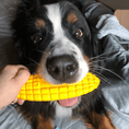 Load image into Gallery viewer, Corn on the Cob Nylon Dog Toy for Aggressive Chewers | USA Made | SodaPup
