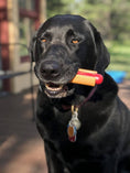 Load image into Gallery viewer, Hot Dog Nylon Dog Toy for Aggressive Chewers | USA Made | SodaPup

