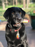 Load image into Gallery viewer, Hot Dog Nylon Dog Toy for Aggressive Chewers | USA Made | SodaPup
