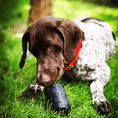 Load image into Gallery viewer, SP Magnum Can Toy eDispenser Ultra Durable Rubber Chew Toy & Treat Dispenser - Power Chewers
