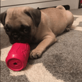 Load image into Gallery viewer, Puppy Can Toy Durable Rubber Chew Toy & Treat Dispenser For Teething Pups
