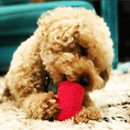 Load image into Gallery viewer, Puppy Can Toy Durable Rubber Chew Toy & Treat Dispenser For Teething Pups
