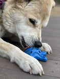 Load image into Gallery viewer, Starfish Nylon Dog Chew Toy for Aggressive Chewers | USA Made | SodaPup
