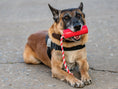 Load image into Gallery viewer, USA-K9 Firecracker Durable Rubber Floating Training Dummy - Large - Red
