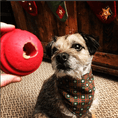 Load image into Gallery viewer, USA-K9 Stars and Stripes Ultra-Durable Rubber Chew Ball
