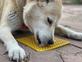 Load image into Gallery viewer, Honeycomb eMat - Enrichment Lick Mat for Dogs and Cats | eMat Enrichment Toy for Anxiety Relief | SodaPup
