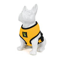 Load image into Gallery viewer, EcoBark Yellow Dog Harness - Over-the-Head Soft Mesh Dog Vest Halter for Small to Medium Dogs and Puppies
