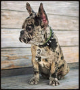 Load image into Gallery viewer, "Spiky" collar
