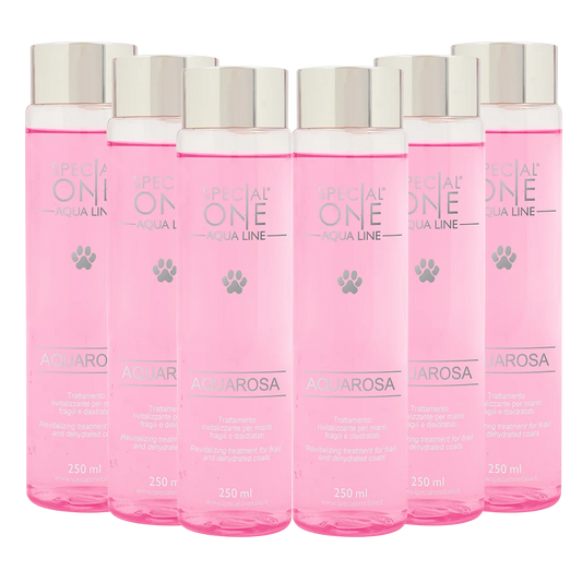Aquarosa Shampoo Box of 6 250 ml by Special One