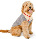Load image into Gallery viewer, Spencer Wool Dog Sweater
