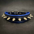 Load image into Gallery viewer, "Spiky" collar
