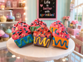 Load image into Gallery viewer, Build Your Own Organic Dog Cookie Box Pick Any 3
