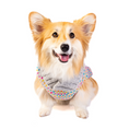 Load image into Gallery viewer, Sprinkles Dog Sweater
