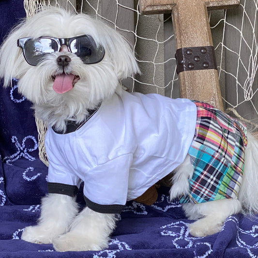 Madras Plaid Patchwork Boxer Shorts for Dogs alternate view