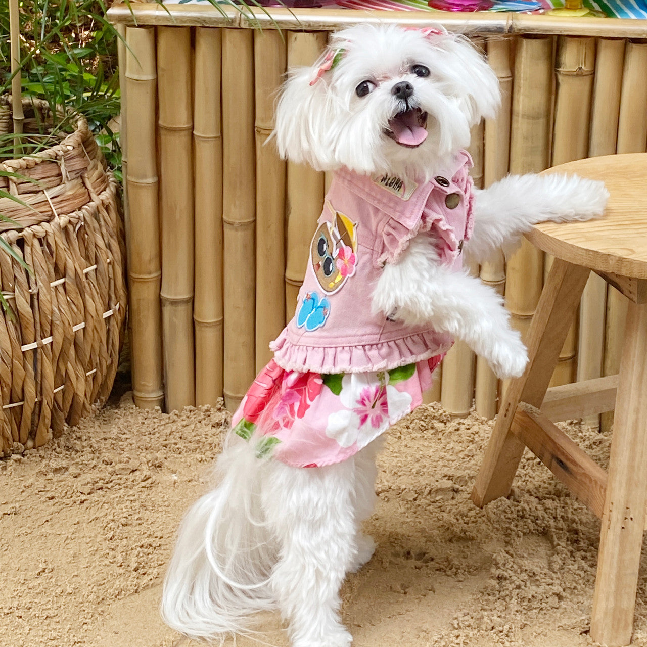 Tiki Time Dog Jacket alternate view