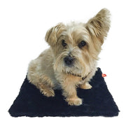 Carrier Square Blanket, Bella Black 