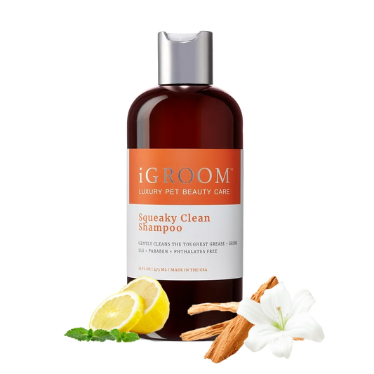Dog Squeaky Clean Shampoo 16oz by iGroom