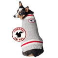 Load image into Gallery viewer, Squirrel Patrol Dog Sweater
