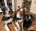 Load image into Gallery viewer, Starry Night Metallic Dog Bandana
