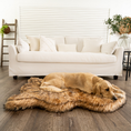 Load image into Gallery viewer, PupRug Faux Fur Orthopedic Dog Bed - Curve Sable Tan
