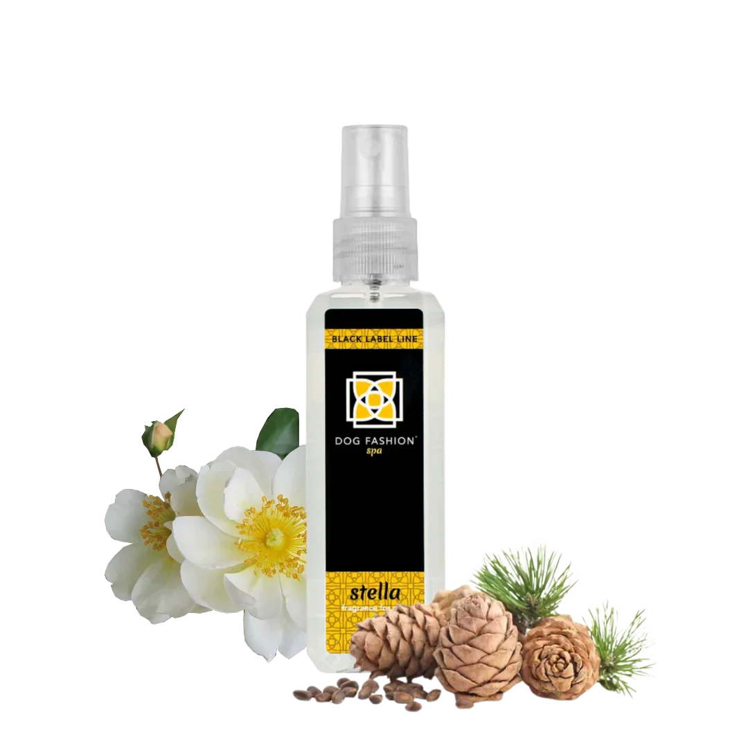  professional dog grooming tool Southlake Paws