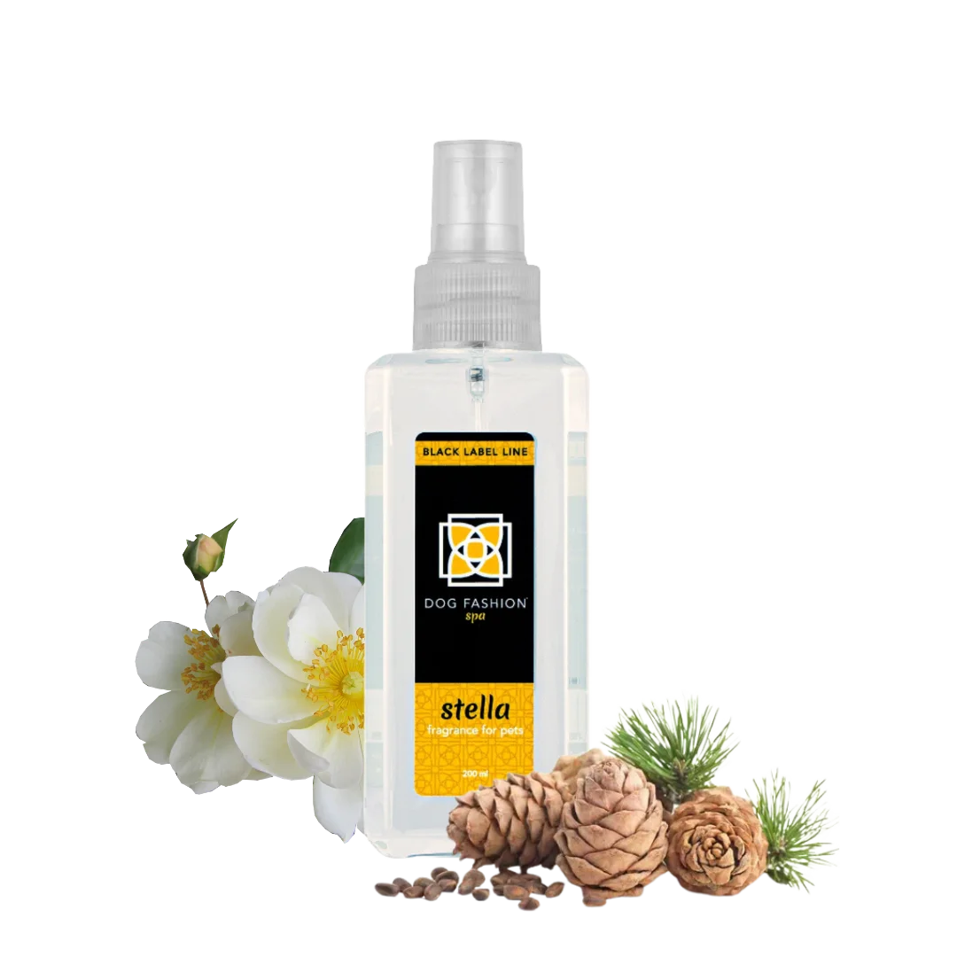  professional dog grooming tool Southlake Paws