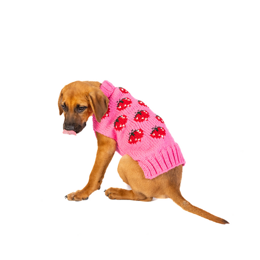 Strawberry Dog Sweater