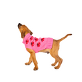 Load image into Gallery viewer, Strawberry Dog Sweater
