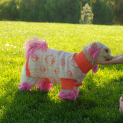 Strawberry Knitted Dog Sweater 