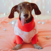 Strawberry Knitted Dog Sweater 