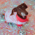 Strawberry Knitted Dog Sweater 