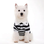 Stripe Polo Shirt