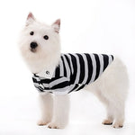 Stripe Polo Shirt
