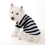 Stripe Polo Shirt