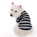 Stripe Polo Shirt