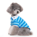 Stripe Polo Shirt