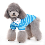 Stripe Polo Shirt