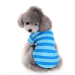 Stripe Polo Shirt