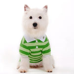 Stripe Polo Shirt