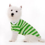 Stripe Polo Shirt