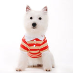 Stripe Polo Shirt