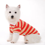 Stripe Polo Shirt