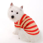 Stripe Polo Shirt