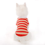 Stripe Polo Shirt