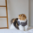 Load image into Gallery viewer, Nooee Pet Polo Wool Sweater – 100% Wool Knit with Classic Collar
