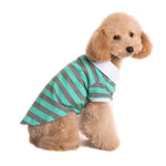 Stripe Polo Shirt
